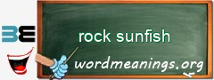 WordMeaning blackboard for rock sunfish
